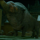 Pictured: A not dangerous beast (image: WB)